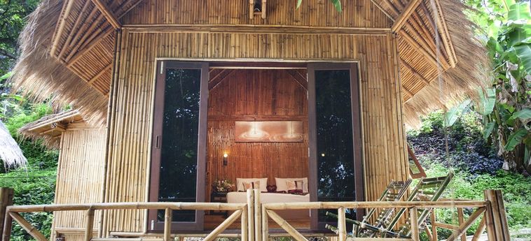 Hotel The Cove Phi Phi:  PHI PHI ISLAND