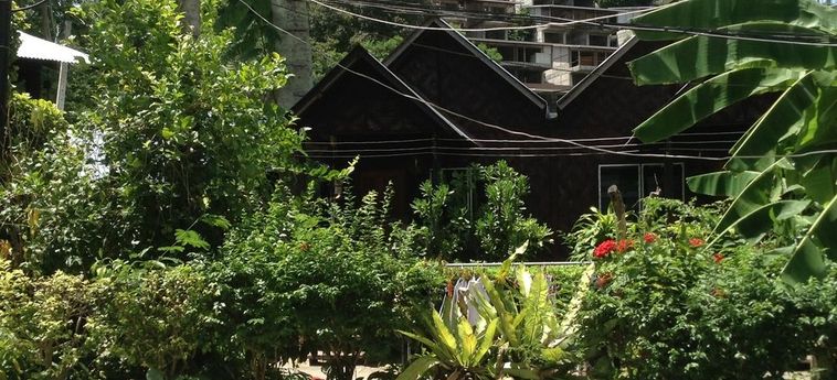 Coco's Guesthouse Phi Phi Island : Photo 