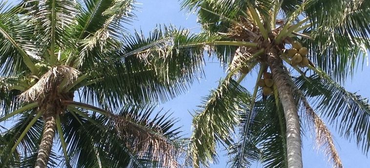Coco's Guesthouse Phi Phi Island: Foto 