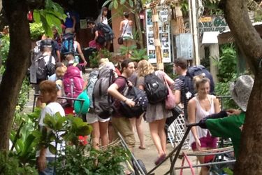 Coco's Guesthouse:  PHI PHI ISLAND