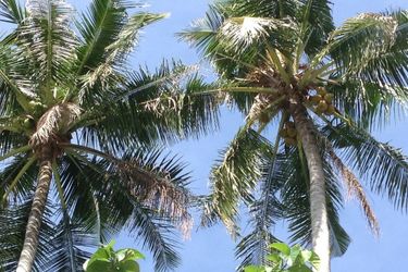 Coco's Guesthouse:  PHI PHI ISLAND