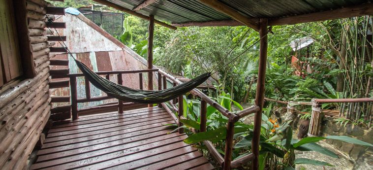 Hotel Tropical Garden Bungalow Phi Phi Island: Foto 