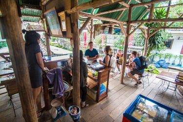 Hotel Tropical Garden Bungalow Phi Phi Island: Photo 