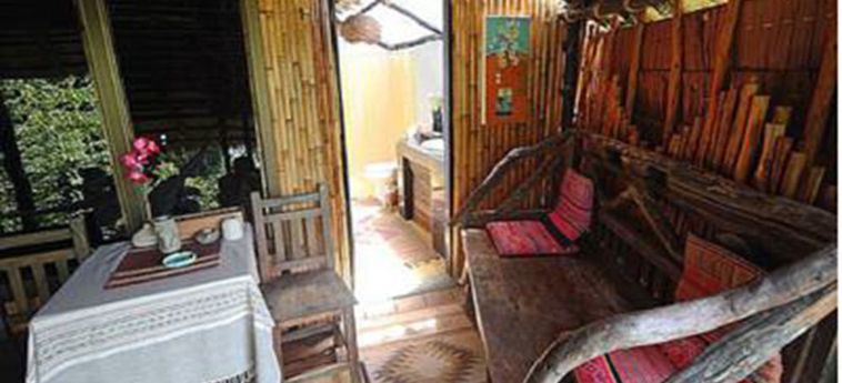 Hotel Viking Nature Resort Phi Phi Island : Photo 