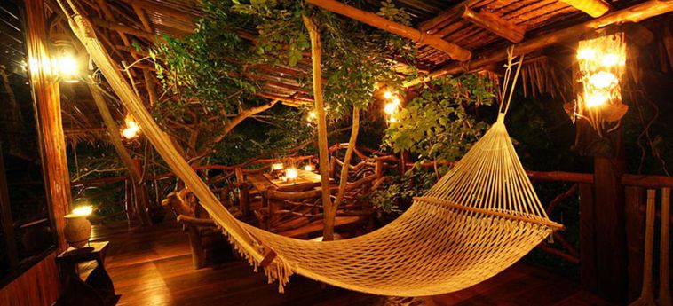 Hotel Viking Nature Resort Phi Phi Island : Photo 