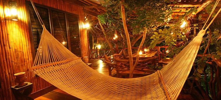 Hotel Viking Nature Resort Phi Phi Island: Photo 