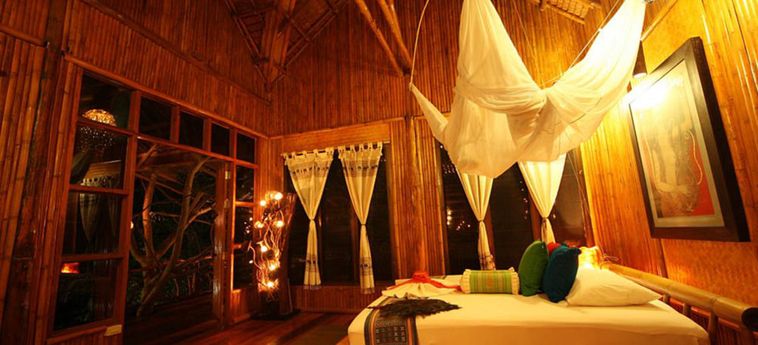 Hotel Viking Nature Resort Phi Phi Island: Photo 