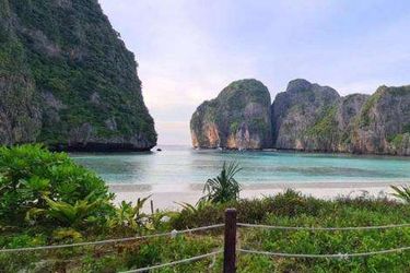 Phi Phi Dream Guest House Phi Phi Island: Photo 
