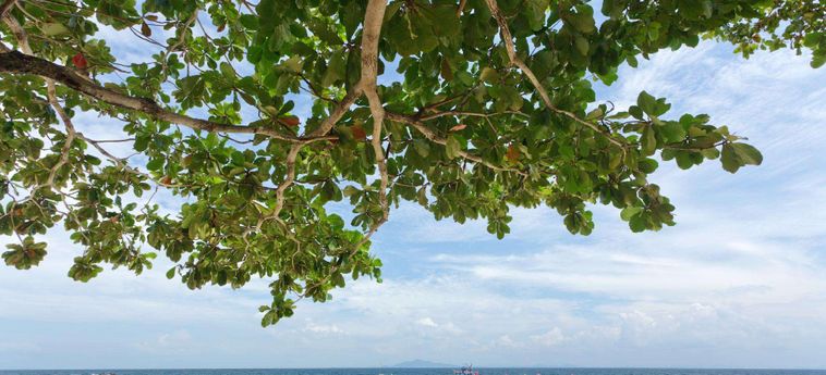 White House Phi Phi Island : Photo 