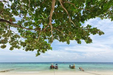 White House Phi Phi Island: Photo 