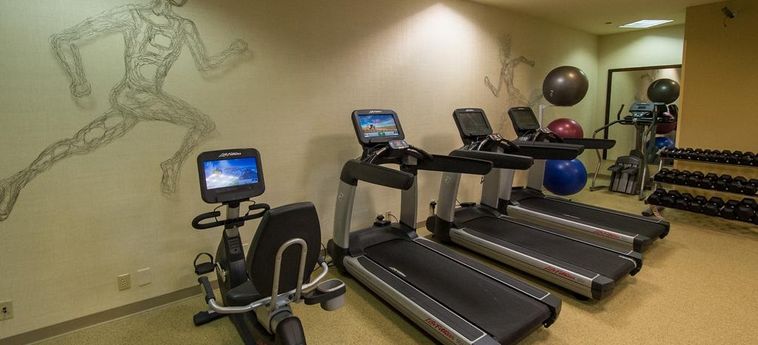 Delta Hotels By Marriott Philadelphia Airport Philadelphia (Pa): Foto 