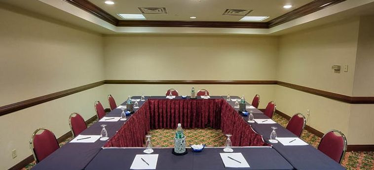 Delta Hotels By Marriott Philadelphia Airport Philadelphia (Pa): Foto 