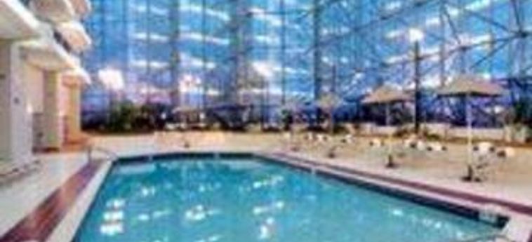 Delta Hotels By Marriott Philadelphia Airport Philadelphia (Pa): Foto 