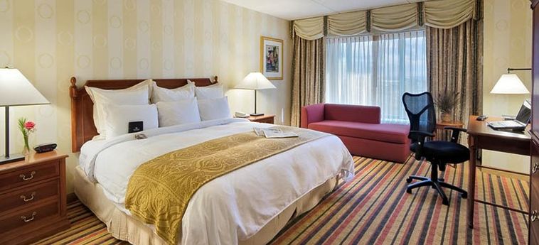 Delta Hotels By Marriott Philadelphia Airport Philadelphia (Pa) : Photo 