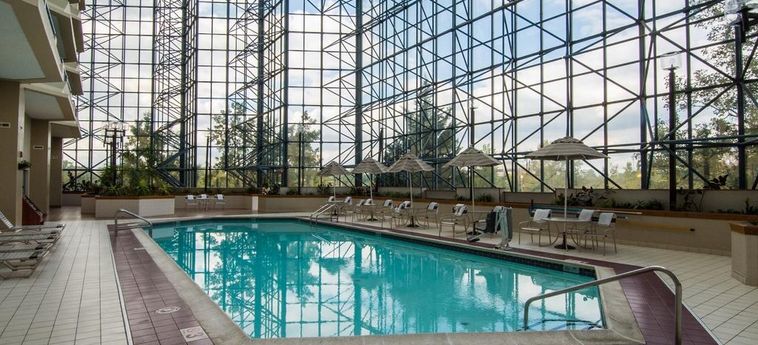 Delta Hotels By Marriott Philadelphia Airport Philadelphia (Pa) : Photo 