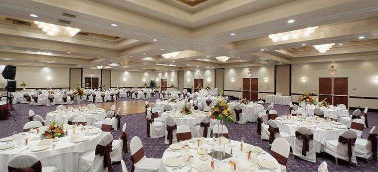 Delta Hotels By Marriott Philadelphia Airport Philadelphia (Pa) : Photo 