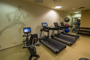 Delta Hotels By Marriott Philadelphia Airport Philadelphia (Pa): Photo 