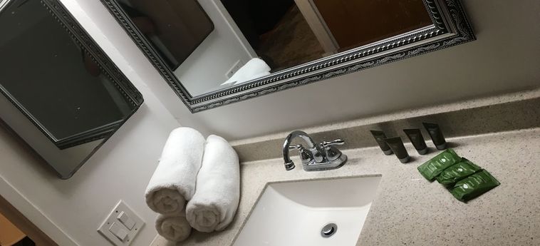 Society Hill Hotel At Independence Park Philadelphia (Pa): Foto 