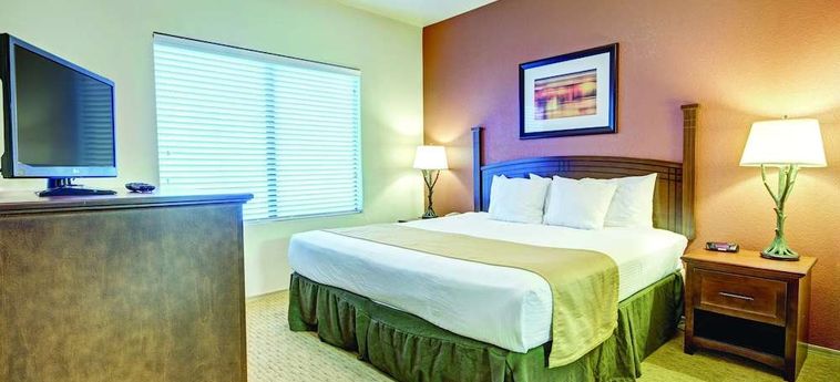 Hotel Raintrees Desert Arroyo:  PHOENIX (AZ)