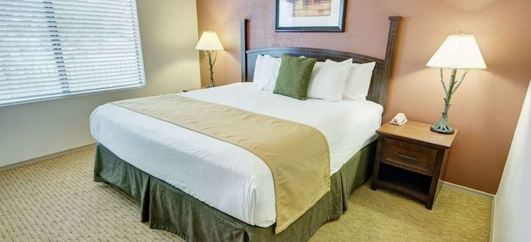 Hotel Raintrees Desert Arroyo Phoenix (Az) : Photo 