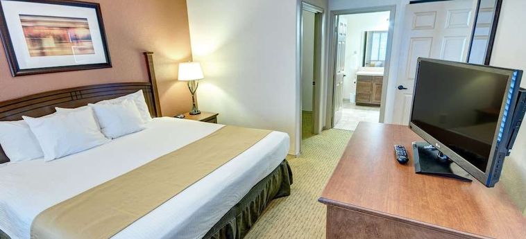 Hotel Raintrees Desert Arroyo Phoenix (Az) : Photo 