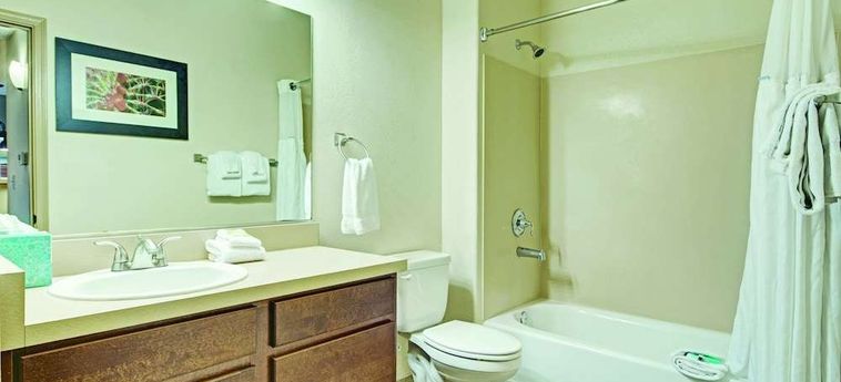 Hotel Raintrees Desert Arroyo Phoenix (Az) : Photo 