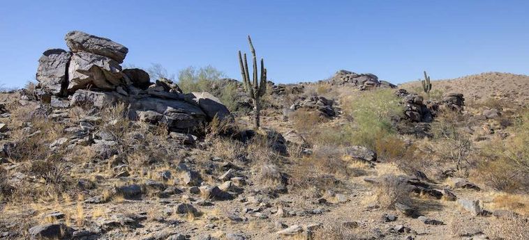 Hotel Raintrees Desert Arroyo Phoenix (Az) : Photo 