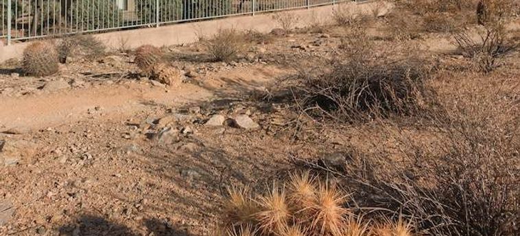 Hotel Raintrees Desert Arroyo Phoenix (Az) : Photo 