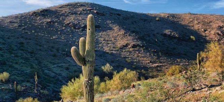 Hotel Raintrees Desert Arroyo Phoenix (Az) : Photo 