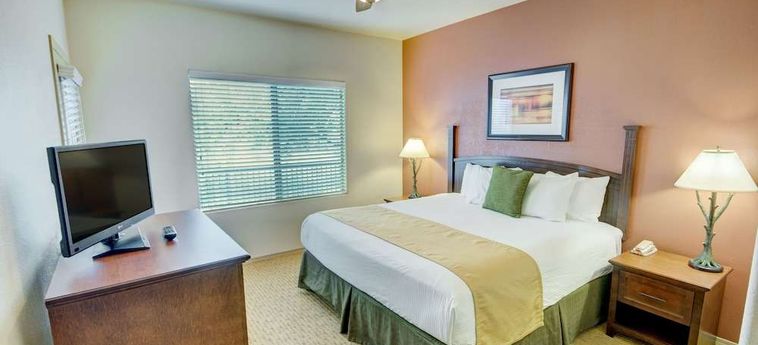 Hotel Raintrees Desert Arroyo Phoenix (Az): Foto 