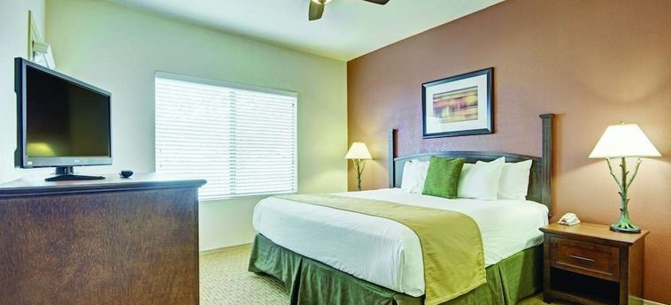 Hotel Raintrees Desert Arroyo Phoenix (Az): Foto 