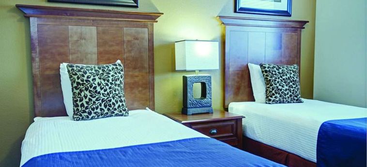 Hotel Raintrees Desert Arroyo Phoenix (Az): Foto 