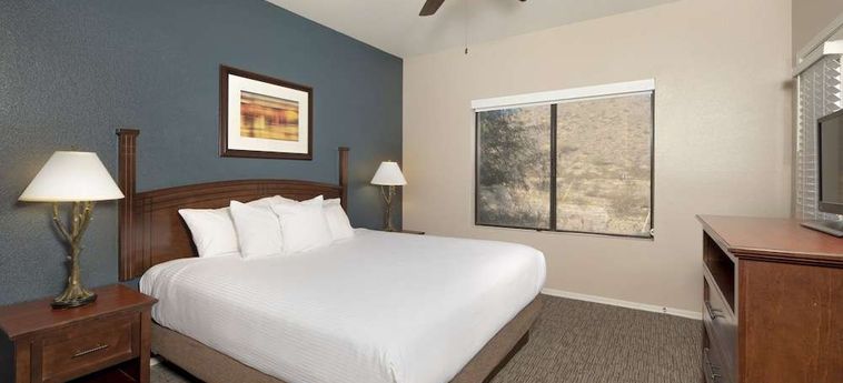 Hotel Raintrees Desert Arroyo Phoenix (Az): Foto 