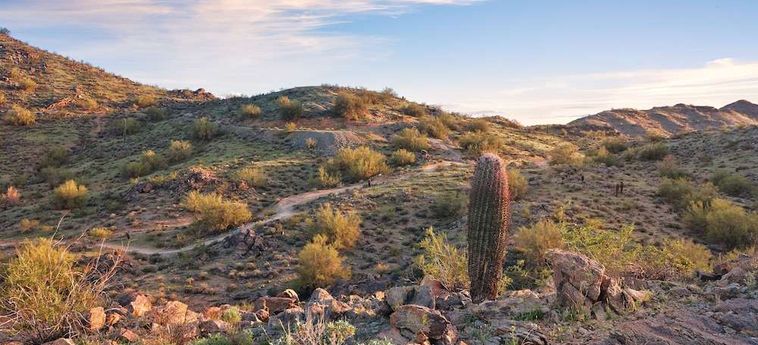 Hotel Raintrees Desert Arroyo Phoenix (Az): Foto 