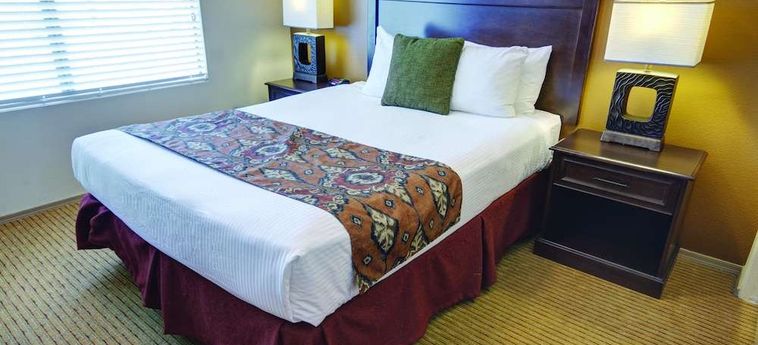 Hotel Raintrees Desert Arroyo:  PHOENIX (AZ)