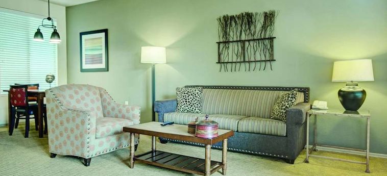 Hotel Raintrees Desert Arroyo:  PHOENIX (AZ)
