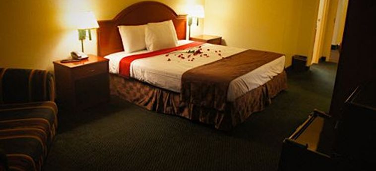 Hotel Budget Inn Suites:  PHOENIX (AZ)