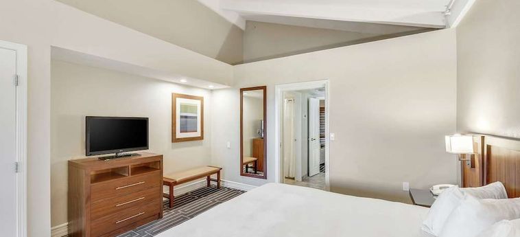 Hotel Hilton Phoenix Tapatio Cliffs Resort:  PHOENIX (AZ)