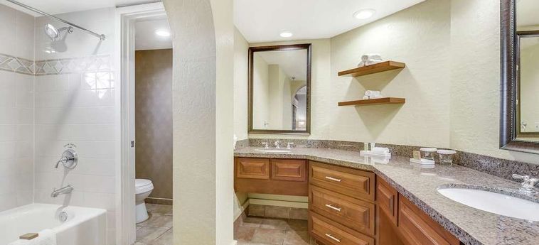 Hotel Hilton Phoenix Tapatio Cliffs Resort:  PHOENIX (AZ)