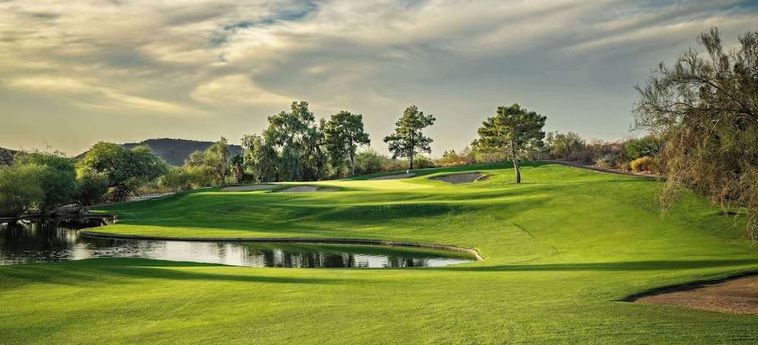 Hotel Hilton Phoenix Tapatio Cliffs Resort:  PHOENIX (AZ)