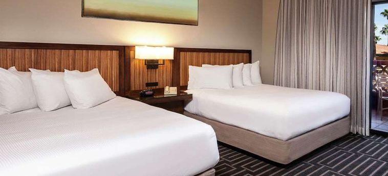 Hotel Hilton Phoenix Tapatio Cliffs Resort Phoenix (Az) : Photo 