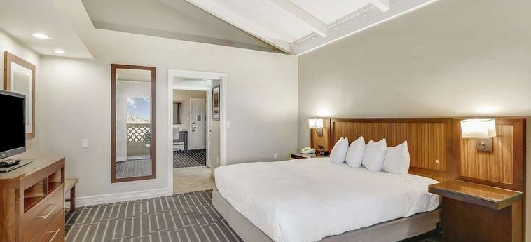 Hotel Hilton Phoenix Tapatio Cliffs Resort Phoenix (Az) : Photo 