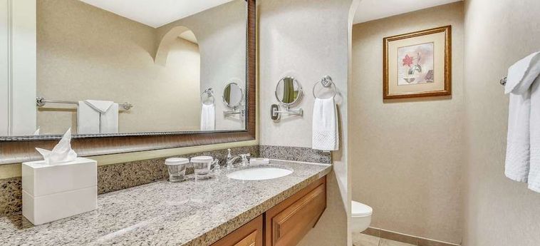 Hotel Hilton Phoenix Tapatio Cliffs Resort Phoenix (Az) : Photo 