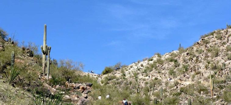 Hotel Hilton Phoenix Tapatio Cliffs Resort Phoenix (Az) : Photo 