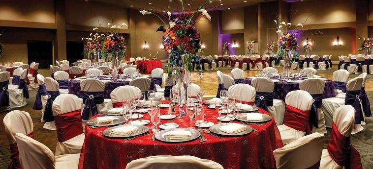 Hotel Hilton Phoenix Tapatio Cliffs Resort Phoenix (Az) : Photo 