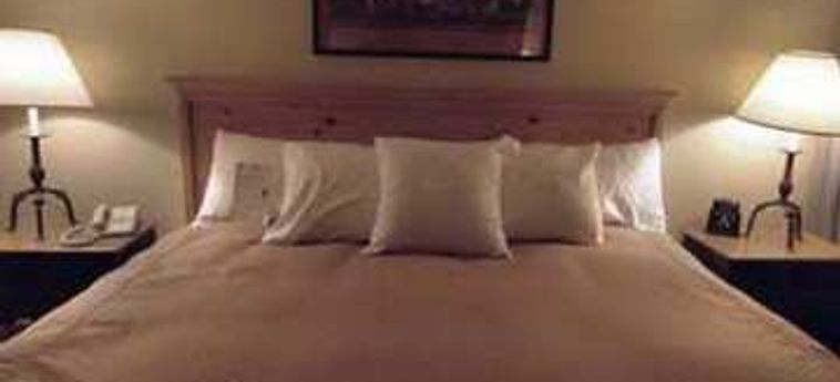 Hotel Homewood Suites By Hilton Phoenix-Biltmore:  PHOENIX (AZ)