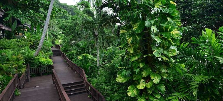 Hotel Andaman White Beach Resort Phuket : Photo 