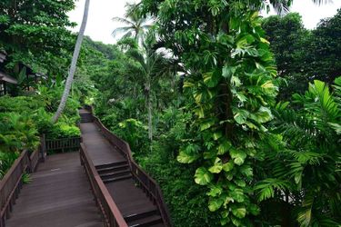Hotel Andaman White Beach Resort Phuket: Photo 