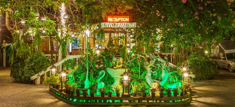 Tropica Bungalow Hotel Phuket : Photo 