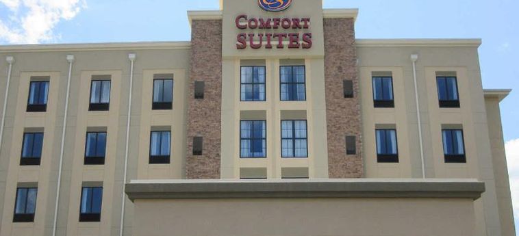 COMFORT SUITES GREENVILLE SOUTH 1 Stella